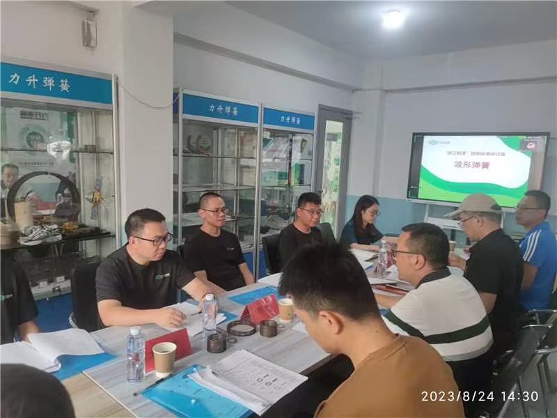 Wave Spring  Made in Zhejiang group standard seminar was held in Lispring