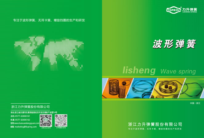 Varieties of Wave washer